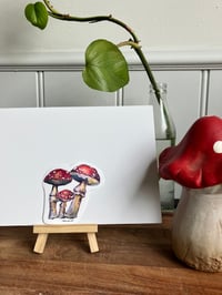Image 2 of Watercolour Toadstool Vinyl Sticker