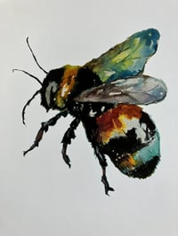 Image 3 of Watercolour Bee A5 Print