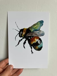 Image 2 of Watercolour Bee A5 Print