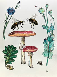 Image 1 of A4 Print - Carpenter Bees