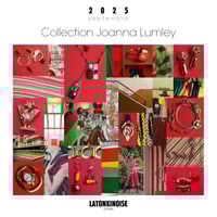 Image 2 of Bagues « STEED »