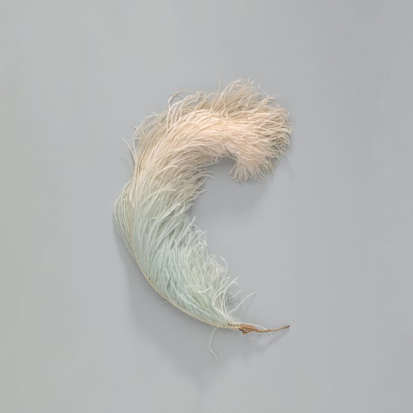 Image of Will Guthrie "Lampo"