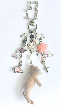 Image 1 of Space Sleepy Cat