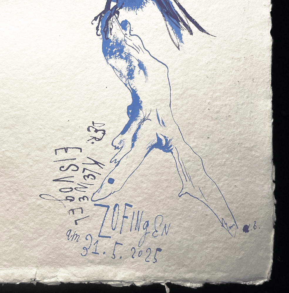 Image of Eisvogel / King fisher