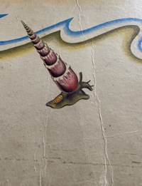 Image 4 of Shells and How They Live by Eileen Mayo