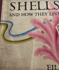 Image 3 of Shells and How They Live by Eileen Mayo