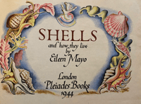 Image 2 of Shells and How They Live by Eileen Mayo