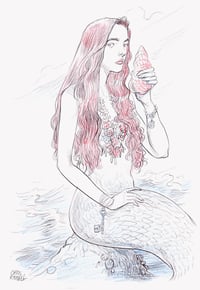 Mermaid and Shell