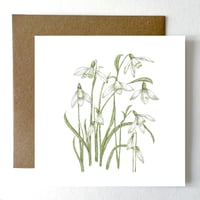Image 1 of SNOWDROP CARD