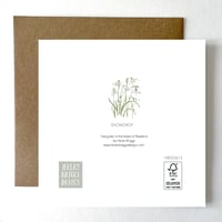 Image 2 of SNOWDROP CARD
