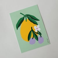Image 2 of Lemonade Postcard