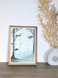 Image 3 of Misty Forest