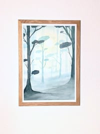 Image 4 of Misty Forest