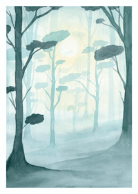 Image 1 of Misty Forest