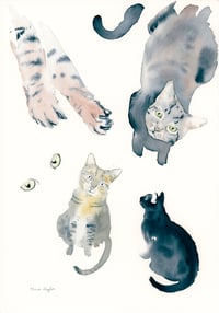 Image 25 of COMMISSION A STUDY of a Creature of your Affection (PET PORTRAIT)