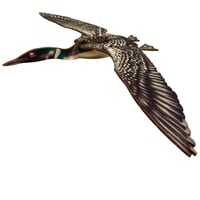 Image 4 of Copy of JCR BIRDS : COMMON LOON