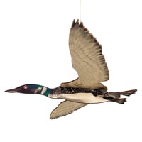 Image 2 of Copy of JCR BIRDS : COMMON LOON