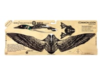 Image 3 of Copy of JCR BIRDS : COMMON LOON