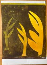 Image 1 of Library Pond