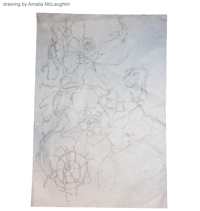 Image 3 of fossil - L