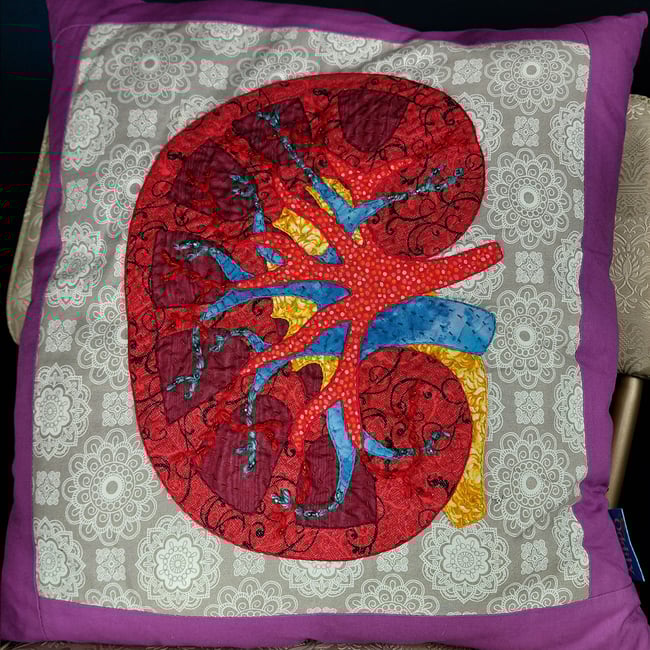 Kidney Pillow
