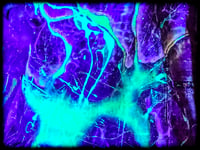 Image 13 of STRIKER UV (small)
