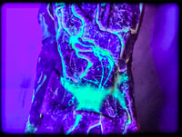 Image 8 of STRIKER UV (small)