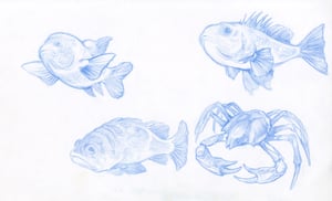 Image of Sea Creatures
