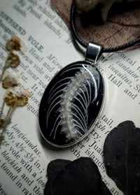 Image 5 of Double Sided Snake Ribcage and Floral Pendant