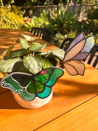 Image 3 of Iridescent butterfly plant pot hugger