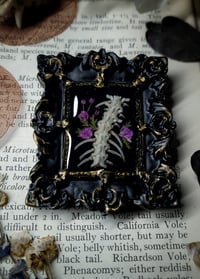 Image 2 of Snake Spine and Floral Mini Wall Frame