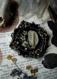 Image 3 of Rabbit Scapula Floral Mini Wall Frame