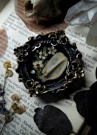 Image 5 of Rabbit Scapula Floral Mini Wall Frame
