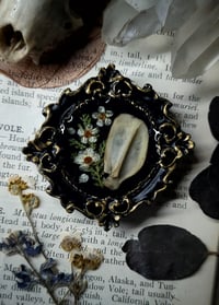Image 1 of Rabbit Scapula Floral Mini Wall Frame