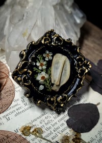 Image 2 of Rabbit Scapula Floral Mini Wall Frame