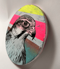 Image 3 of Hawk Dime Store