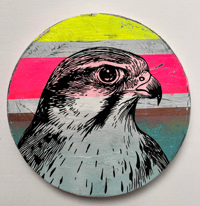 Image 4 of Hawk Dime Store