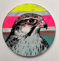 Image 5 of Hawk Dime Store