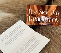 Image 4 of Rabbit Foot Keyring (large chocolate)