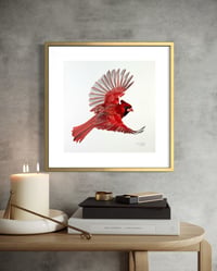 Image 1 of Cardenal in Flight