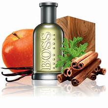 Image of HUGO BOSS  (TYPES)