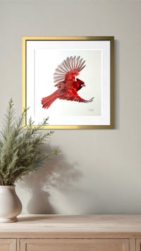 Image 4 of Cardenal in Flight