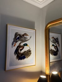 Image 3 of Harmony of Wings