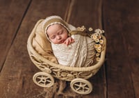 Image 9 of Blooming pram in different colors