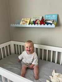 Image 1 of The Scallop 800 