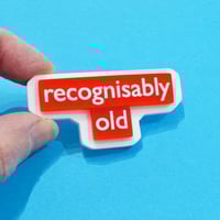 Image 6 of Random Phrase Brooches Group 19