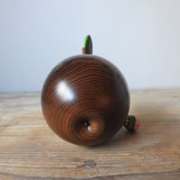 Image 8 of artist's copy: apple & caterpillar