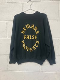 Image 1 of Beware False Prophets, black M/L (24"P2P, 25"S2H, 28"C2C) Boxy