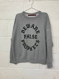 Image 1 of Beware False Prophets, grey L (24.5"P2P, 25"S2H, 28"C2C) Boxy Second  