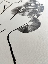 Image 2 of Litografía #2